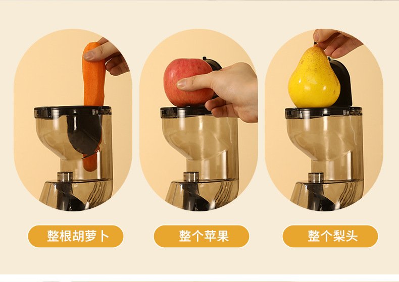 Juicer for Home Use, Pulp and Juice Separation Juicer Multifunctional